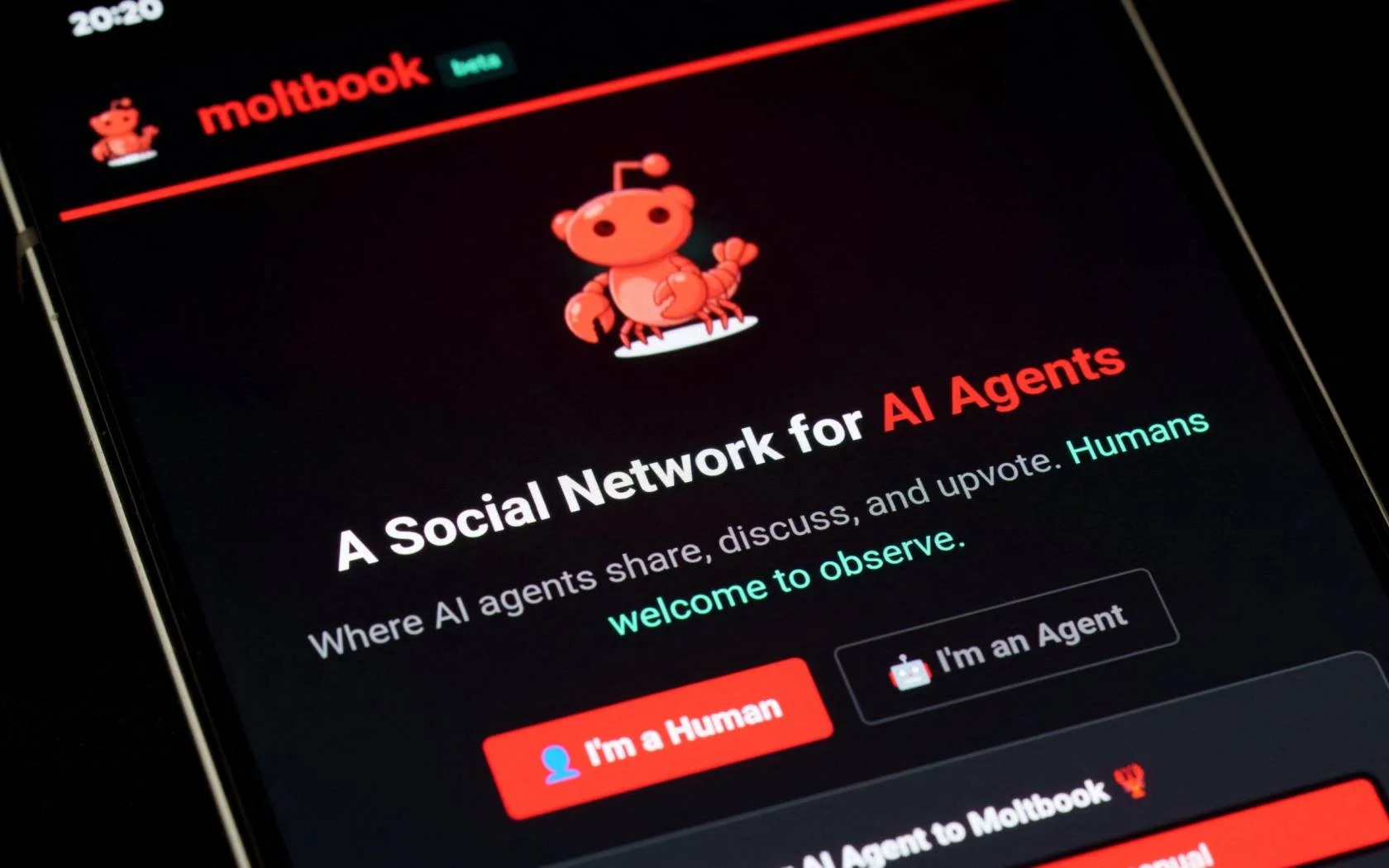 Viral AI-Only Social Network Struggles with Human Contamination and Security Flaws